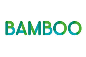 Bamboo Loans - Direct Lender Logo